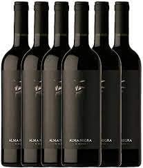 Alma Negra Malbec Review: Vale a Pena em 2026?